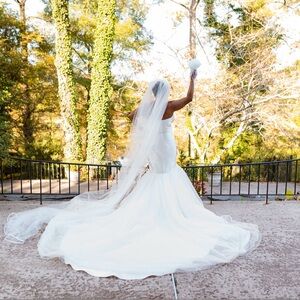 Elegant White Wedding Gown with Veil